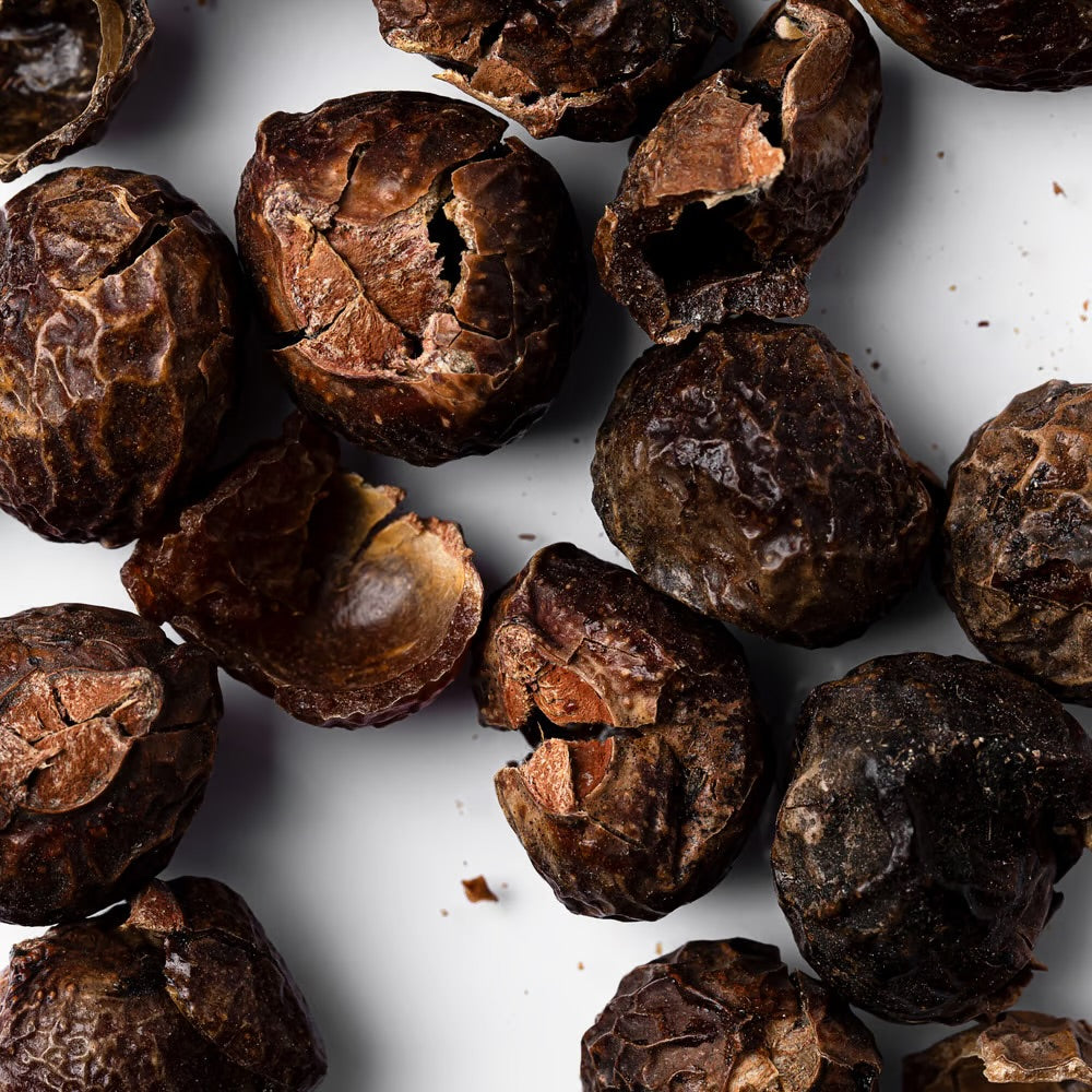 Soap Nuts (natural detergent)