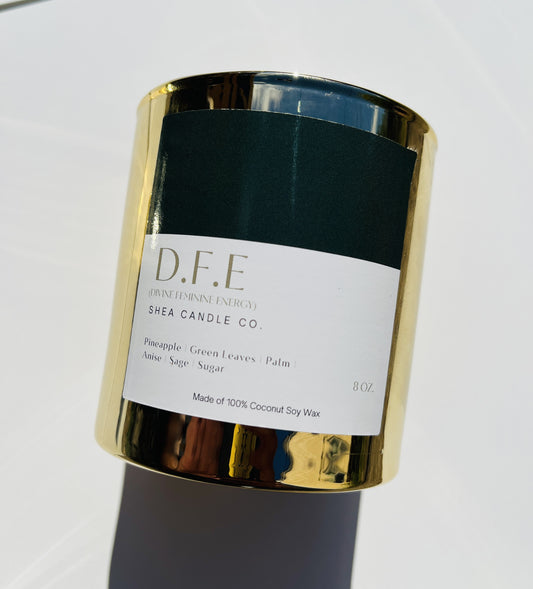 D.F.E (Divine Feminine Energy)